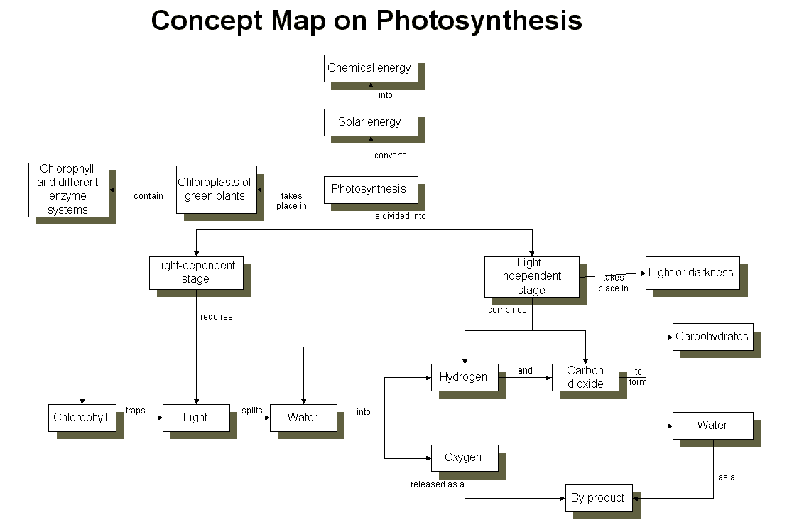 Photosynthesis Definition, Process, and Diagrams BYJUS